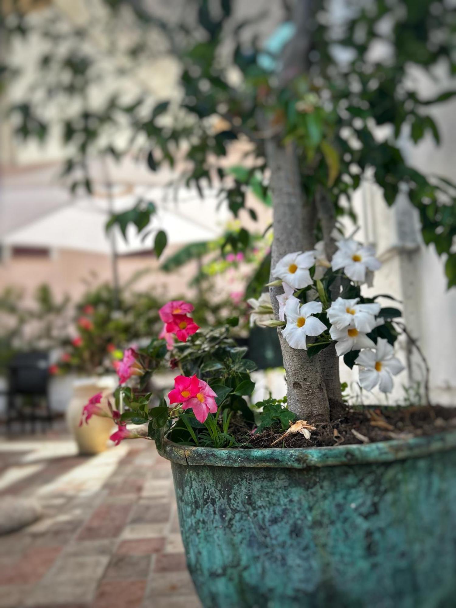 La Maison Derriere Tropea Esterno foto